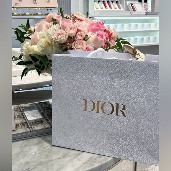Dior Large Gift bag - Picture 1 of 4
